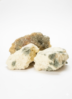 Ardahan Damal Çökeleği